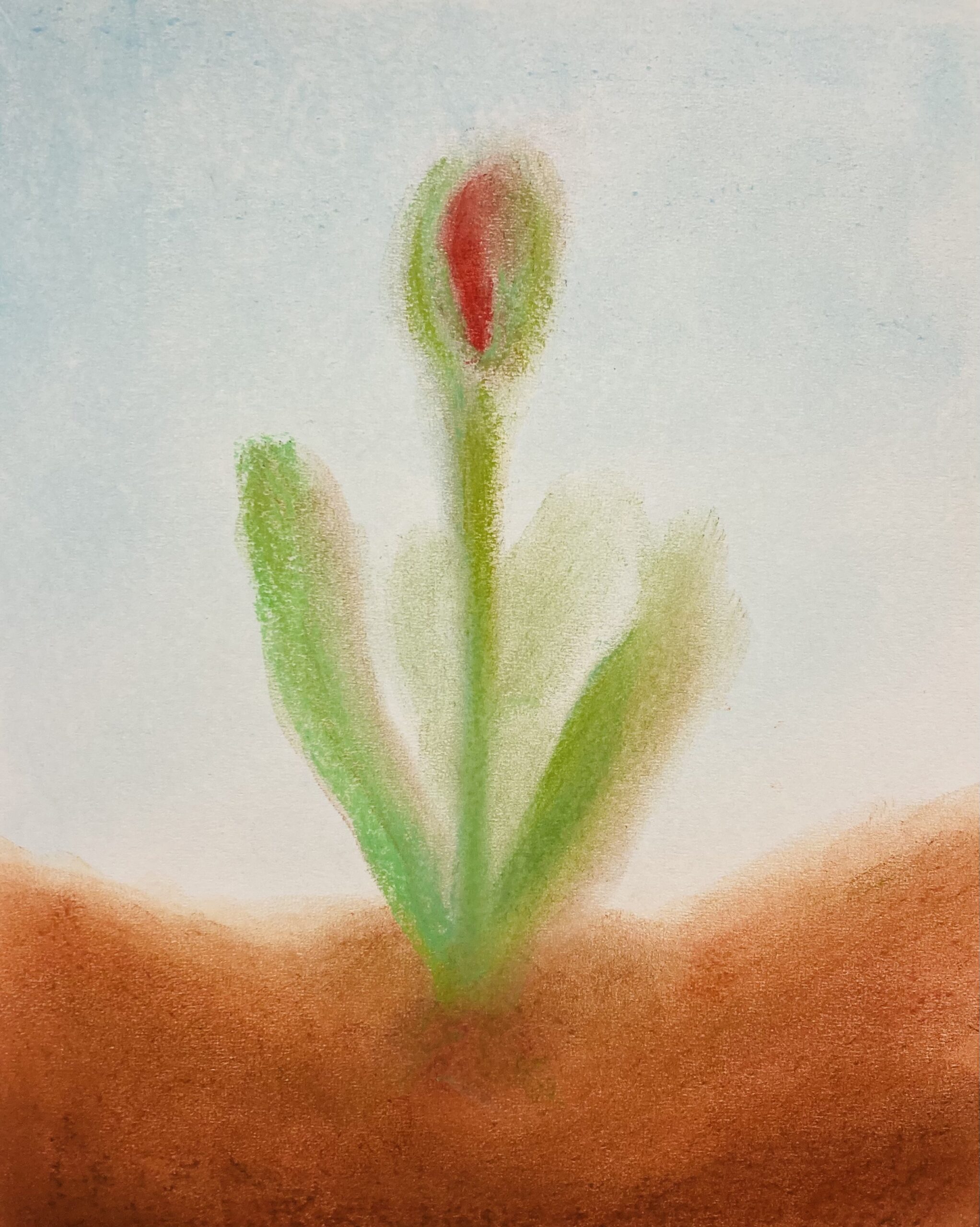 Tekening : Josepha
